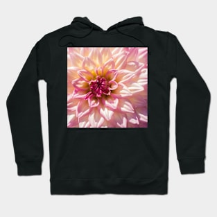 Pink Petal Flower Hoodie